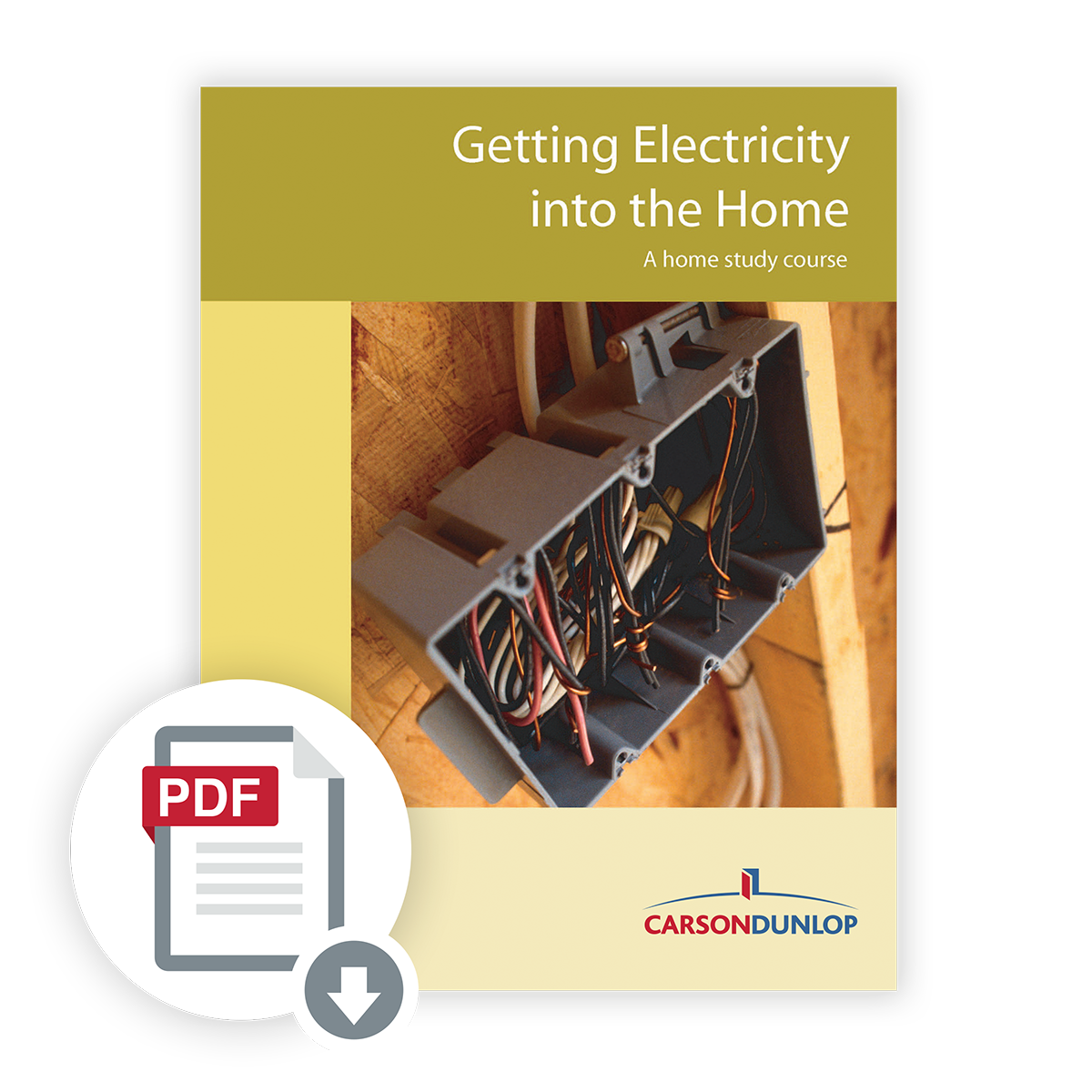 getting-electricity-into-the-home-course-carson-dunlop-store